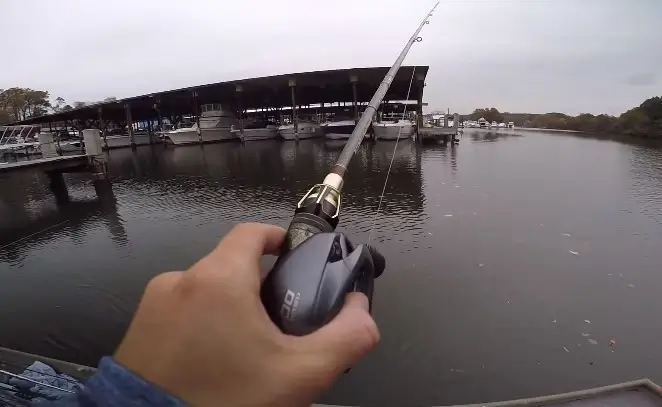 best frog fishing reel