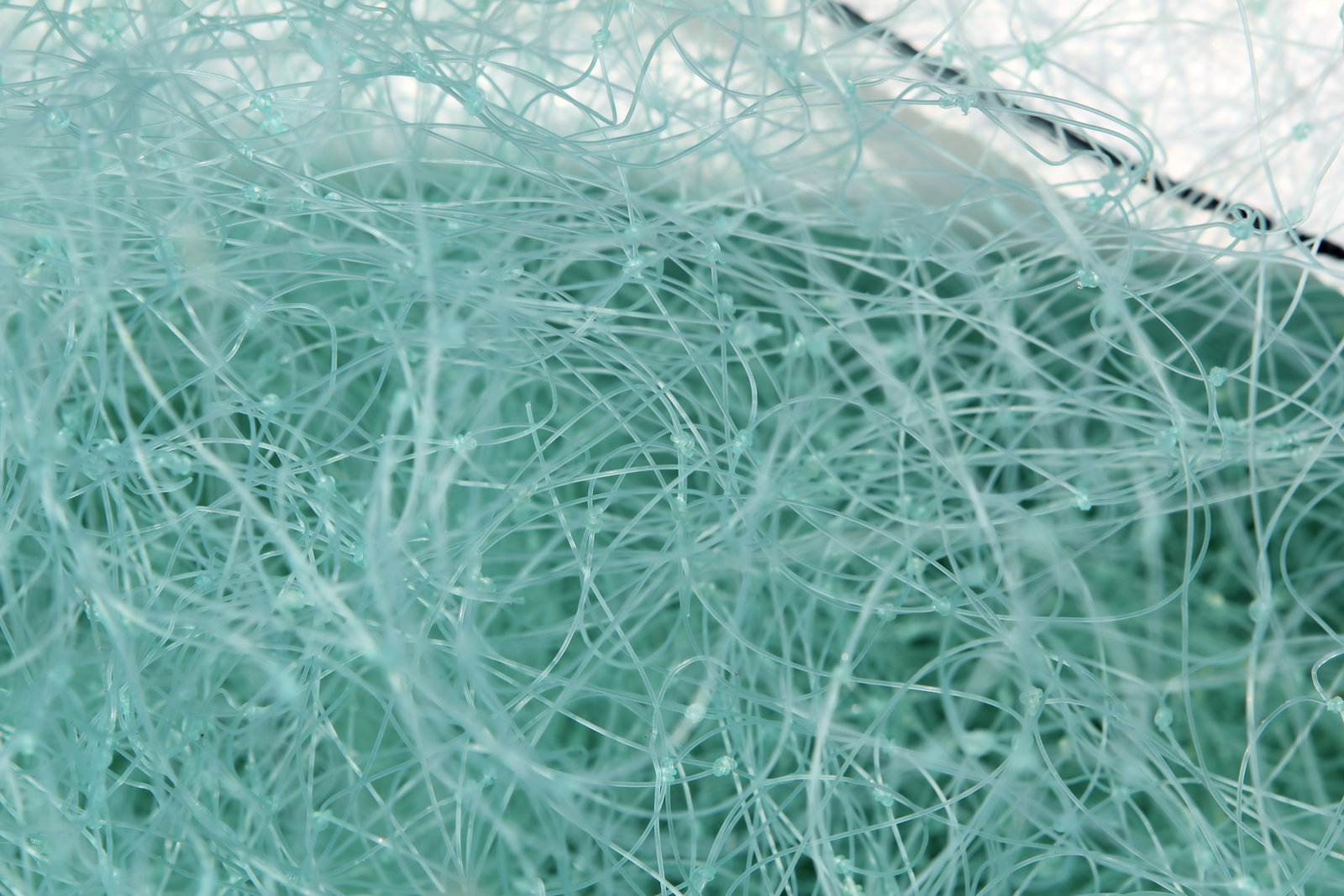 Biodegradable Fishing Lines for Sustainable Angling